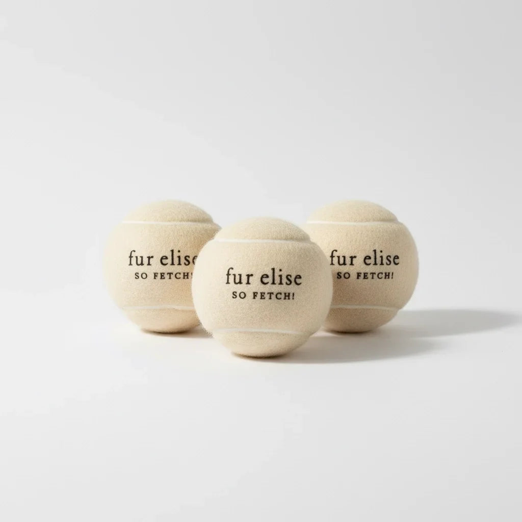 Fur Elise So Fetch! Tennis Ball Pack of 3 - Latte