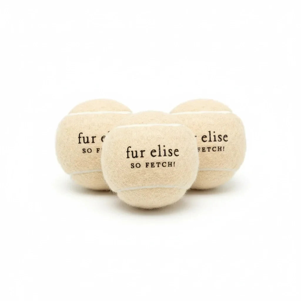 Fur Elise So Fetch! Tennis Ball Pack of 3 - Latte