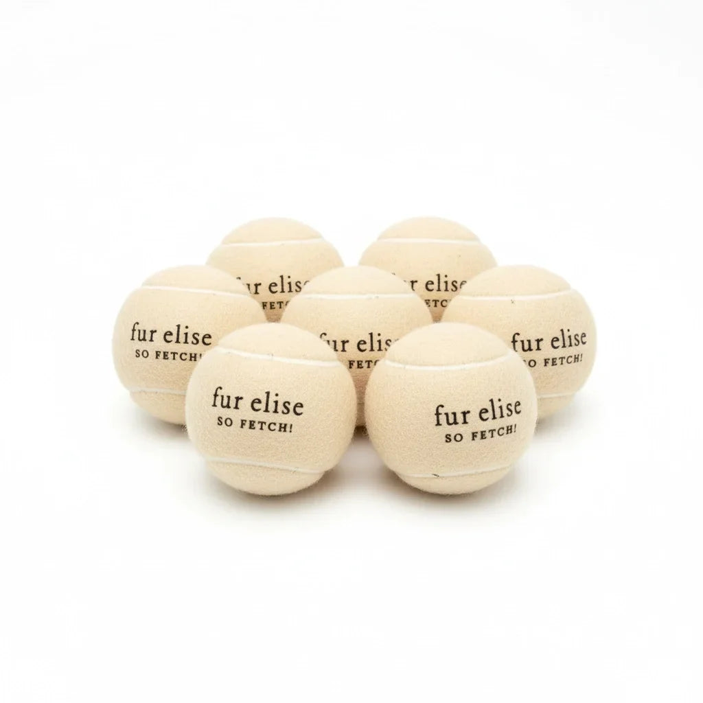Fur Elise So Fetch! Tennis Ball Pack of 7 - Latte