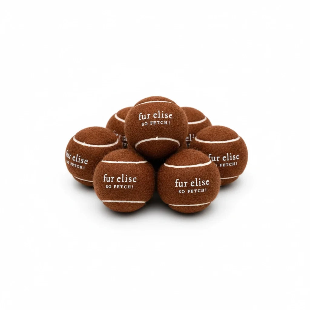 Fur Elise So Fetch! Tennis Ball Pack of 7 - Coffee