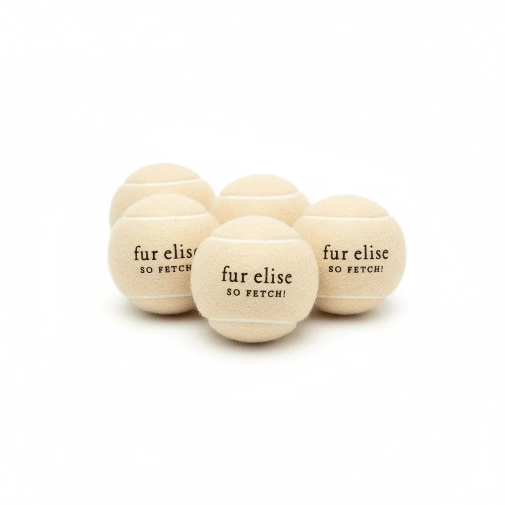 Fur Elise So Fetch! Tennis Ball Pack of 5 - Latte
