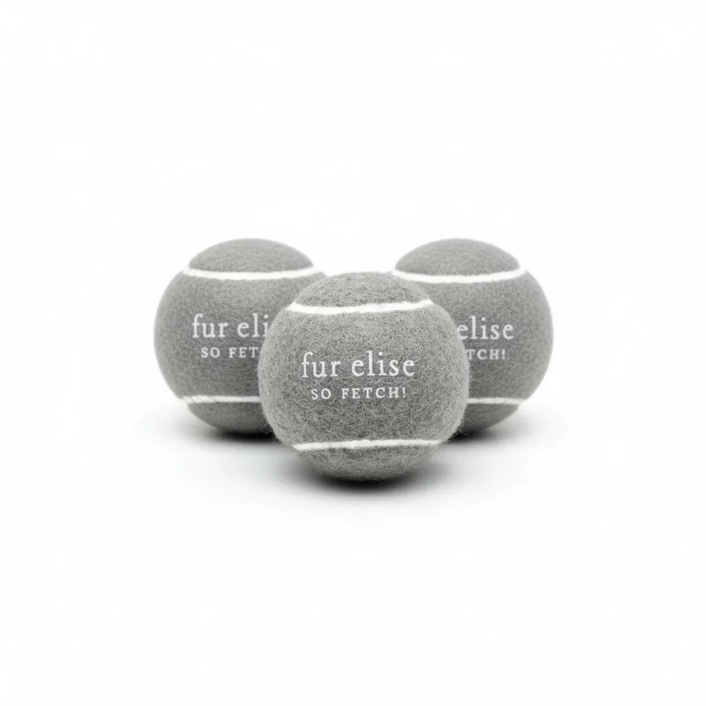 Fur Elise So Fetch! Tennis Ball Pack of 3 - Steel