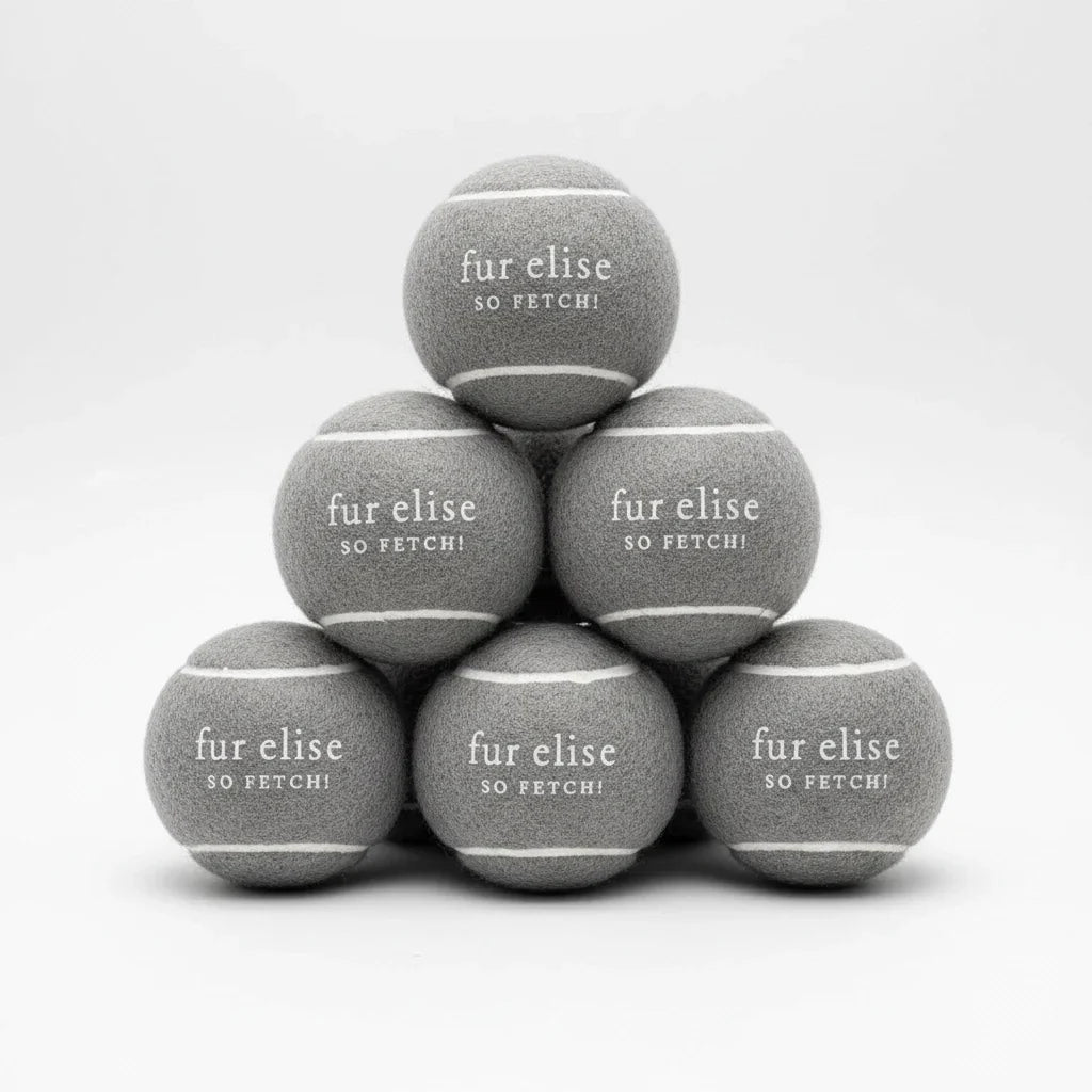 Fur Elise So Fetch! Tennis Ball Pack of 7 - Steel