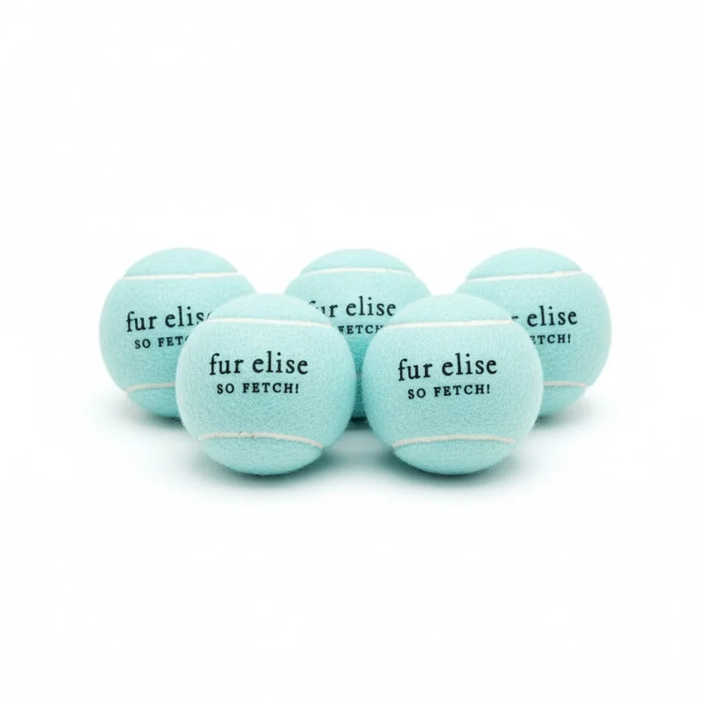 Fur Elise So Fetch! Tennis Ball Pack of 5 - Cloud