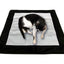 Premium Reversible Pet Sleep Mat 24" X 24" (Made in USA)