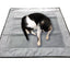 Premium Reversible Pet Sleep Mat 24" X 24" (Made in USA)