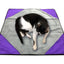 Premium Reversible Pet Sleep Mat 24" X 24" (Made in USA)