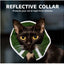 Prey Saver Cat Collar