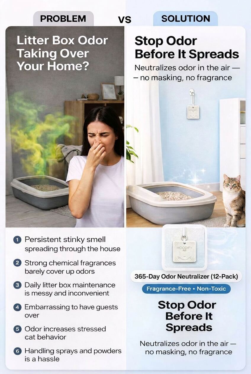 MoodifyPet Cat Litter Box Odor Neutralizer — 12 Pack (Max Coverage)