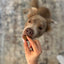 Allergy & Immune Chews (90 Chews)