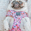 Dog Adjustable Harness - I Chews You
