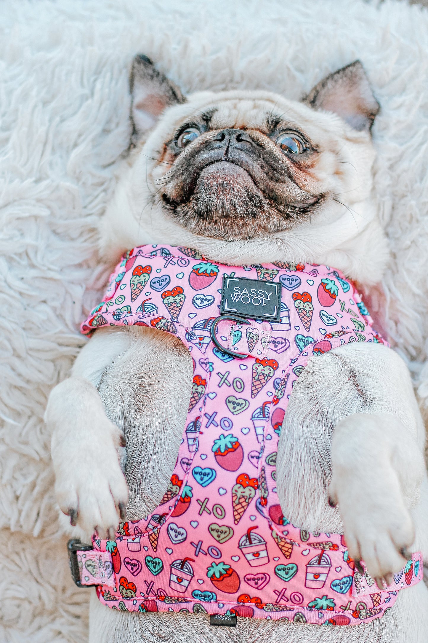 Dog Adjustable Harness - I Chews You