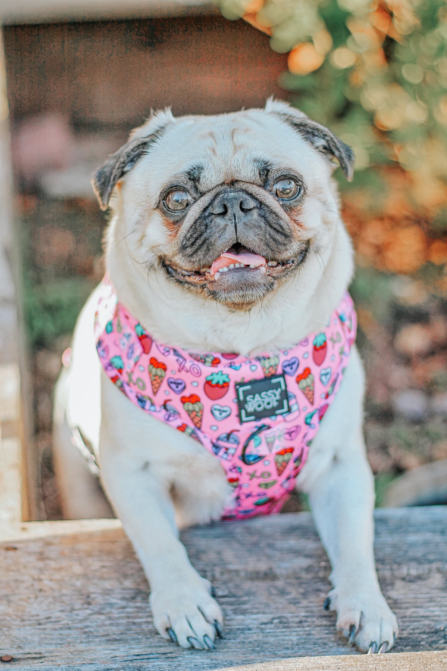 Dog Adjustable Harness - I Chews You