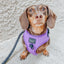 Dog Adjustable Harness - Neon Purple