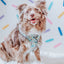 Dog Adjustable Harness - Pup Pup Hooray