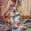 Dog Leash - Pup Pup Hooray