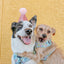 Dog Adjustable Harness - Pup Pup Hooray