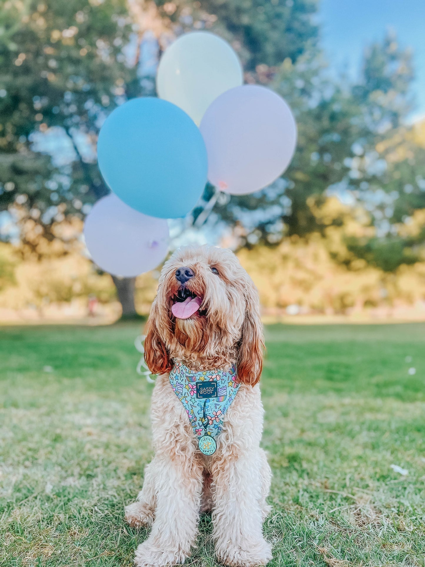 Dog Adjustable Harness - Pup Pup Hooray