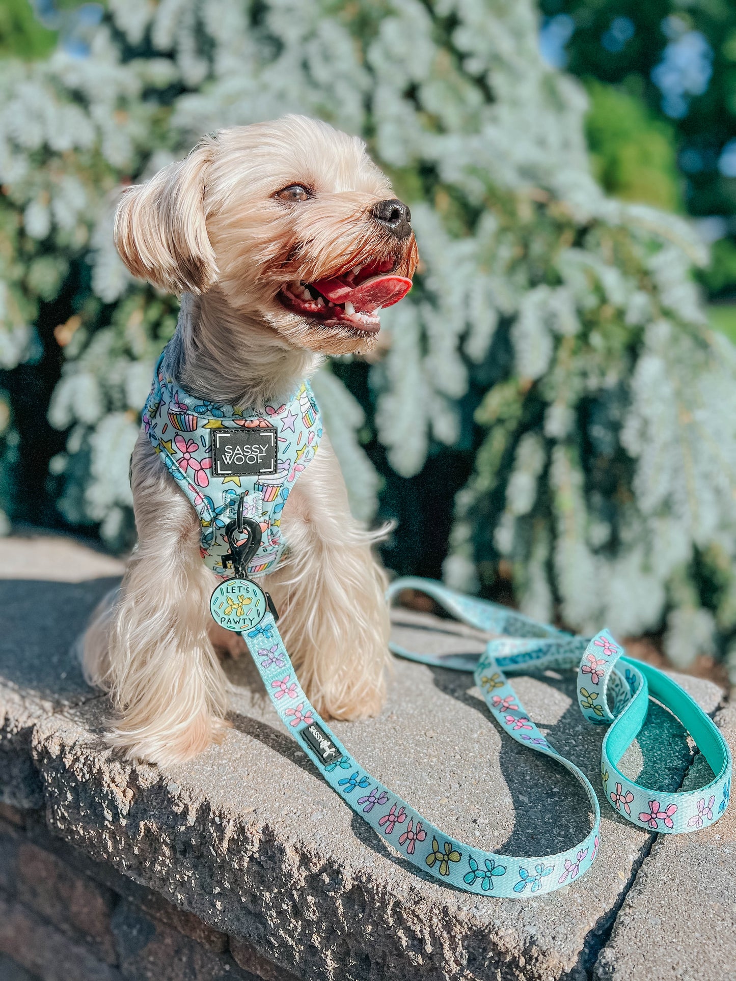 Dog Adjustable Harness - Pup Pup Hooray