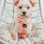 Dog Adjustable Harness - Apple Cider