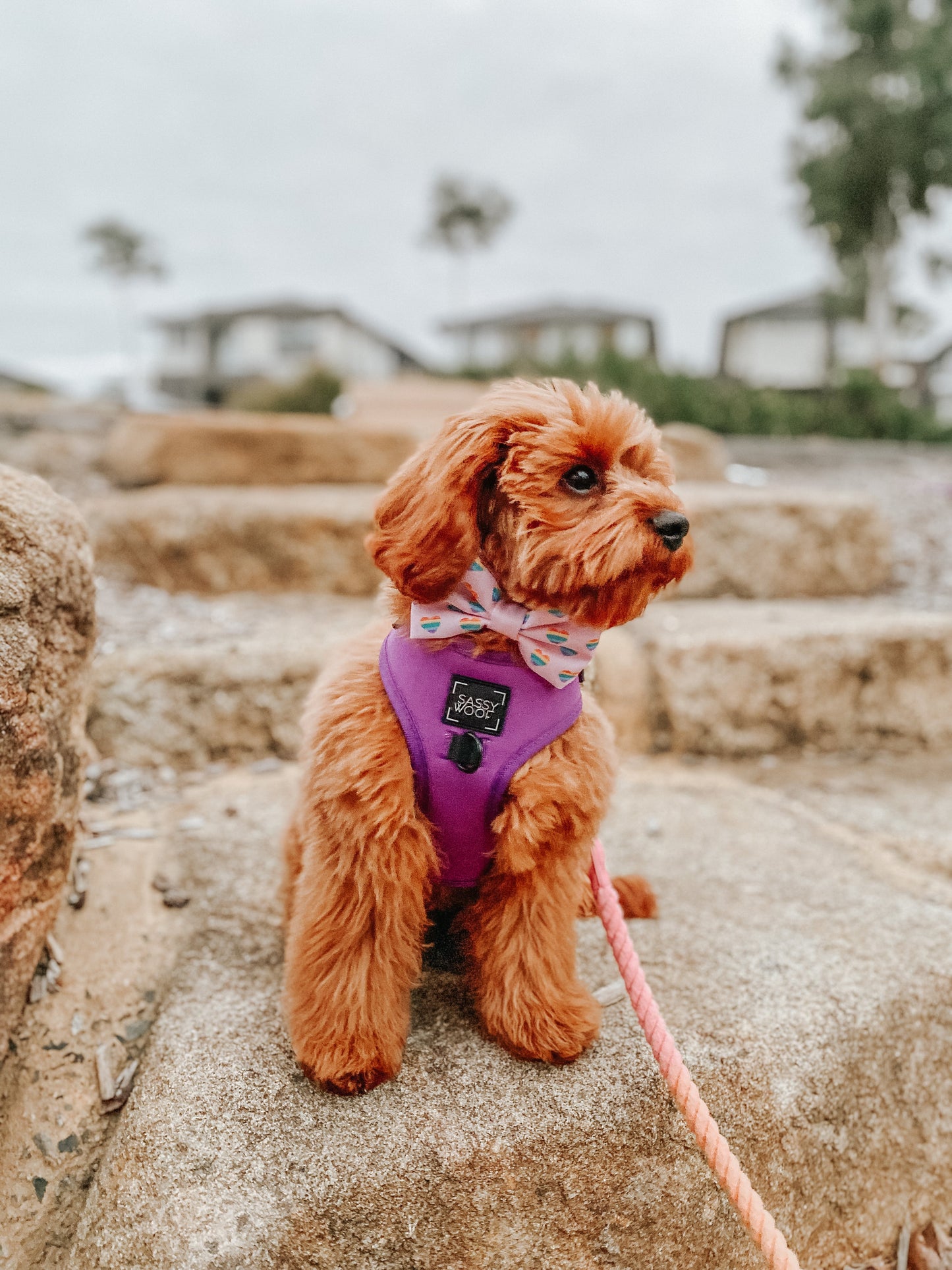 Dog Adjustable Harness - Neon Purple