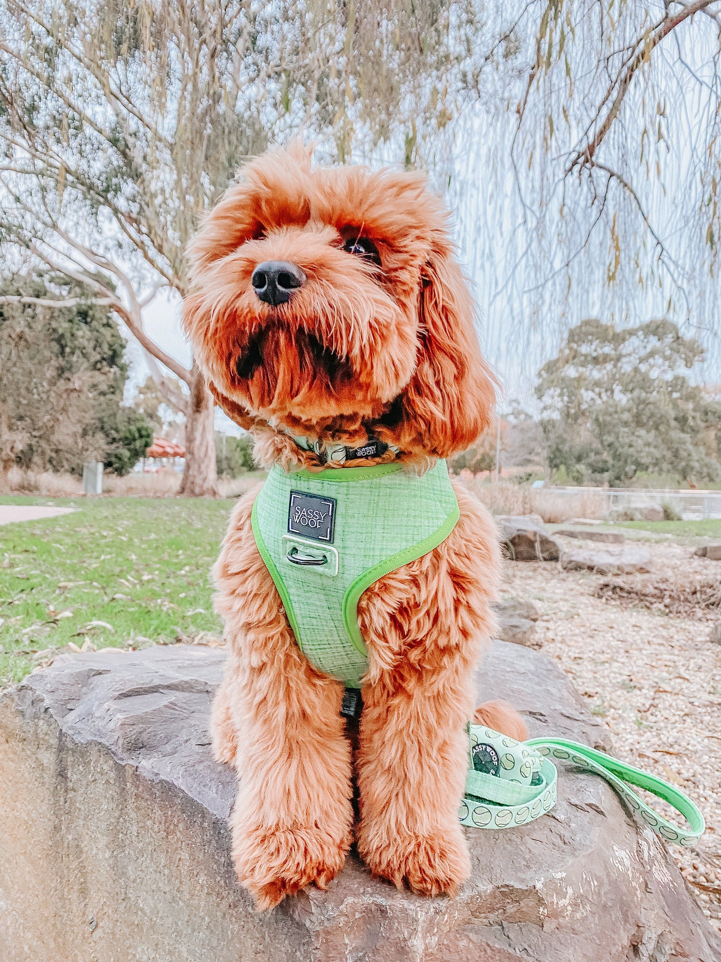 Dog Reversible Harness - Serving Up Sass