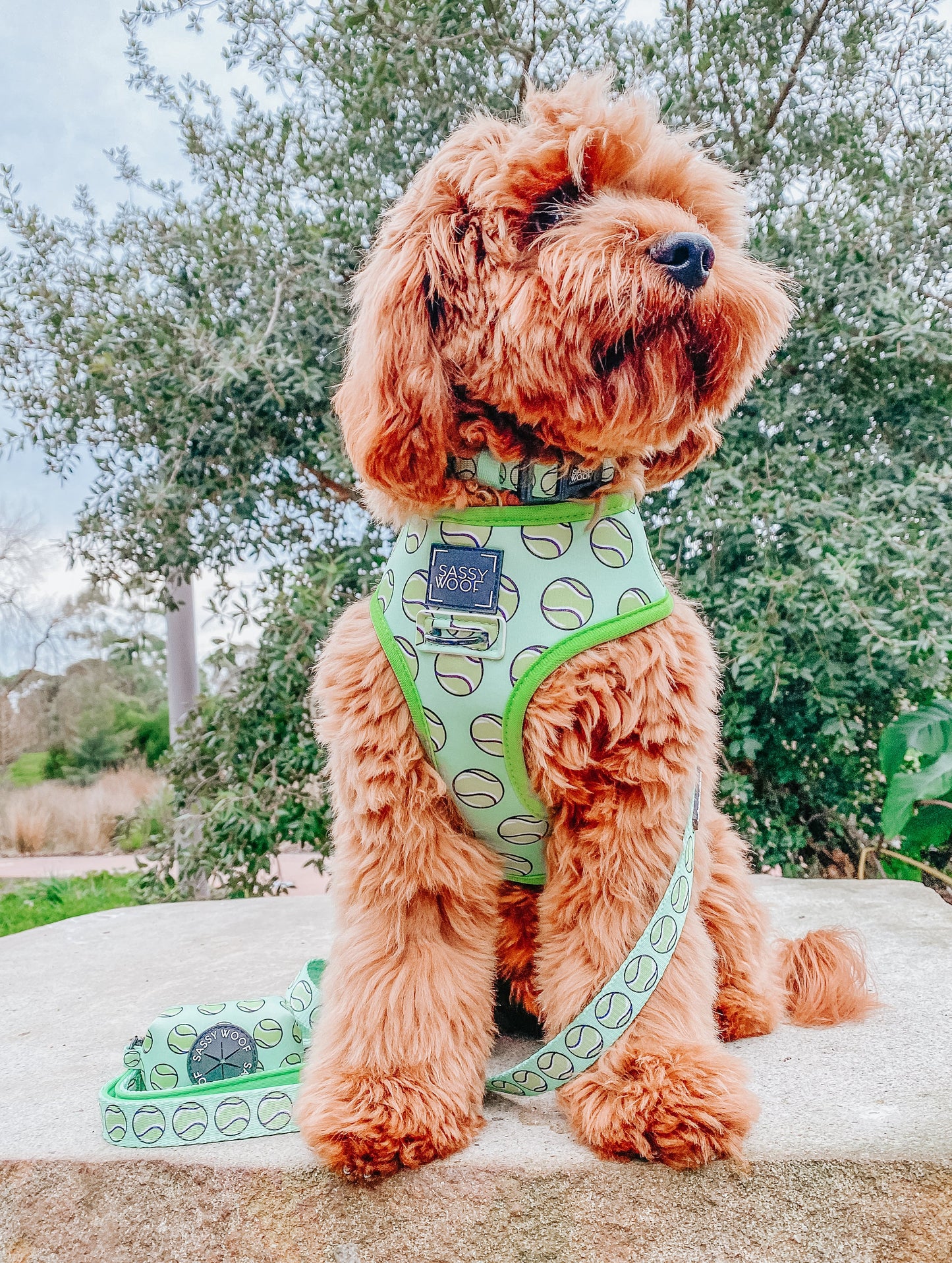 Dog Reversible Harness - Serving Up Sass