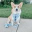 Dog Adjustable Harness - Berry Sassy