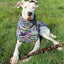 Purple Woodstock Dog Sweater