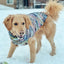 Purple Woodstock Dog Sweater