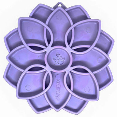 Mandala Softie eTray Shallow Slow Feeder Dog Bowl with Suction Cups |  USA Made