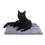 PurrPadd® Cat Bed
