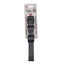 Quick-Release Nylon Dog Collar, Small to Large