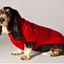 Red Cable Knit Dog Sweater