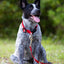 Jeffers Reflective Hound Series Adjustable Nylon Dog Collars