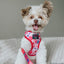 Dog Adjustable Harness - Mean Girls™