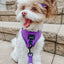 Dog Adjustable Harness - Neon Purple