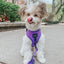 Dog Leash - Neon Purple