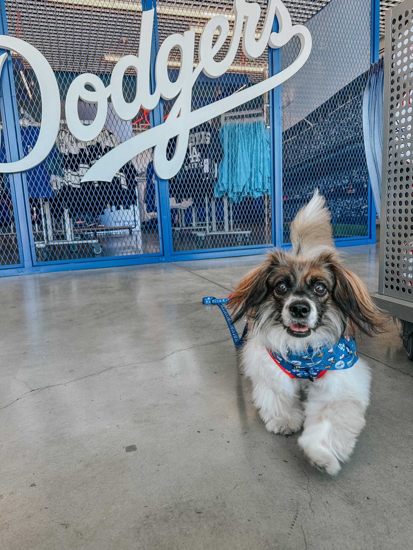 Dog Adjustable Harness - MLB™ x Peanuts™ Los Angeles Dodgers™