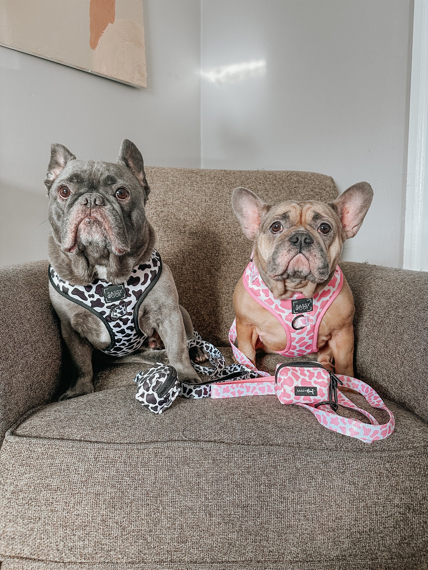 Dog Adjustable Harness - Whole Milk