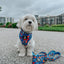 Dog Adjustable Harness - Superman™ & Krypto™