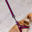 Le Classic Dog Harness
