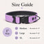 Rugged Waterproof AirTag Dog Collar with Holder