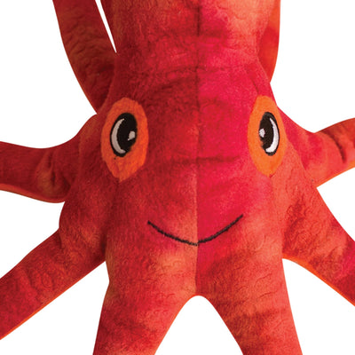 Olivia the Octopus