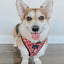 Dog Adjustable Harness - Giraffic Park