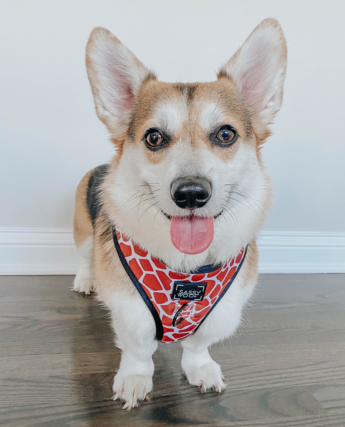 Dog Adjustable Harness - Giraffic Park