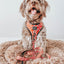 Dog Adjustable Harness - Giraffic Park