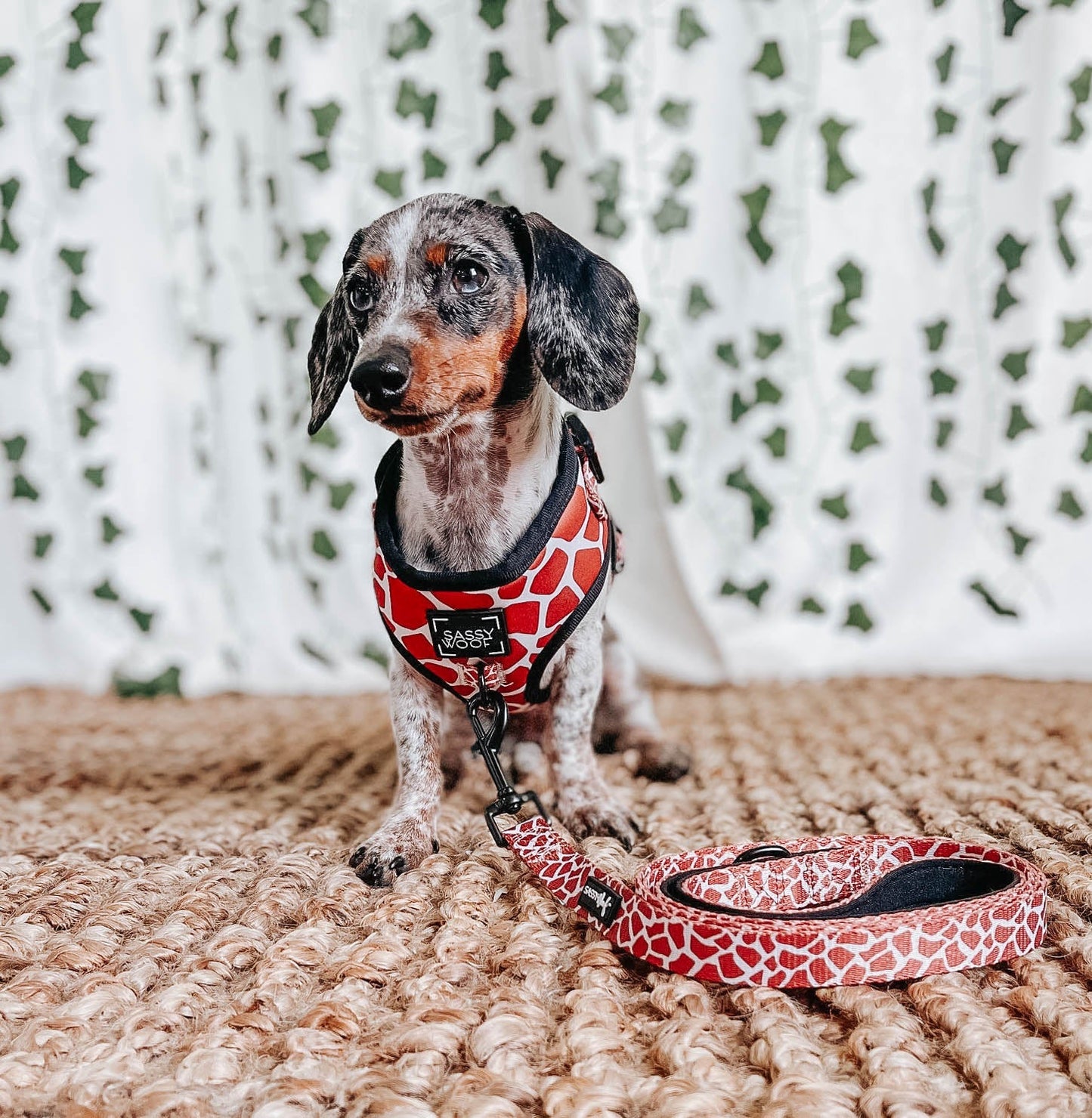 Dog Adjustable Harness - Giraffic Park