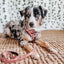 Dog Adjustable Harness - Giraffic Park