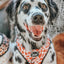 Dog Adjustable Harness - Giraffic Park